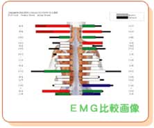 EMGr摜